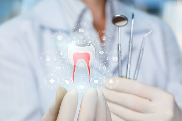 Best Traditional Braces  in Foley, AL